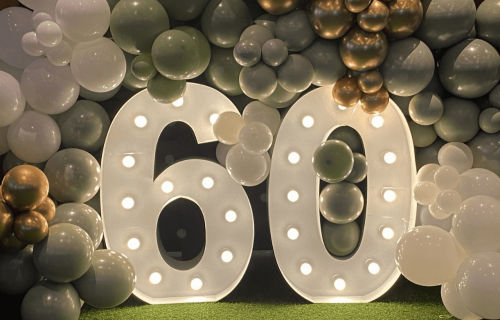 60 Light Up Numbers