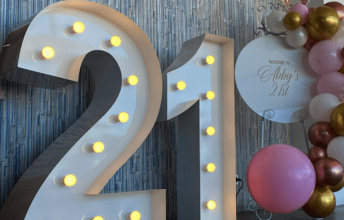 21 Light Up Numbers